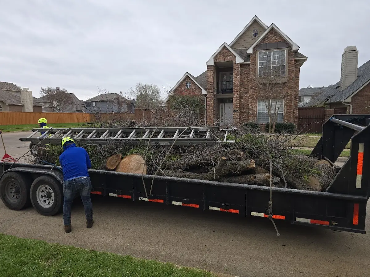 Expert Tree Fertilization with proper safety equipment in Saulsbury